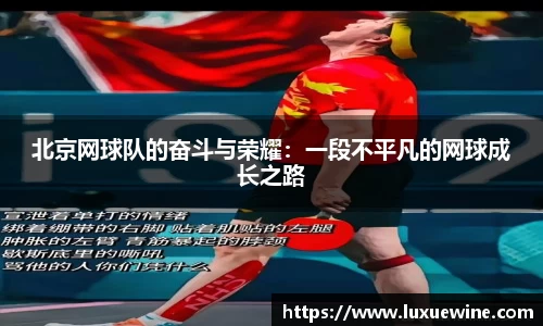 必一运动bsport体育