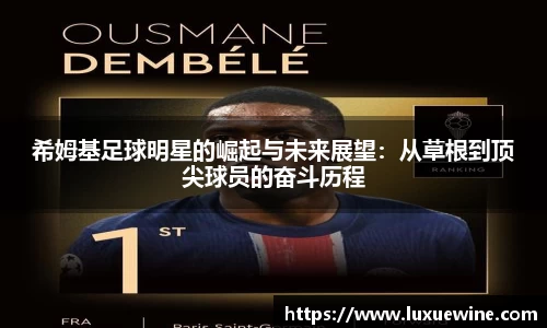 必一·体育(b-sports)