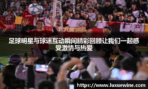必一运动bsport体育
