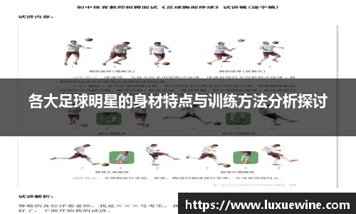 必一·体育(b-sports)