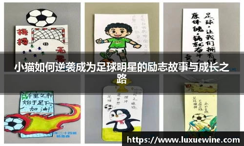 小猫如何逆袭成为足球明星的励志故事与成长之路