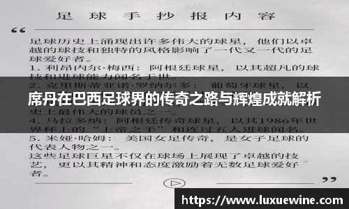 席丹在巴西足球界的传奇之路与辉煌成就解析