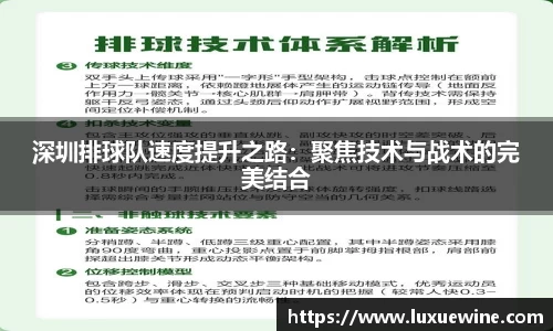 深圳排球队速度提升之路：聚焦技术与战术的完美结合